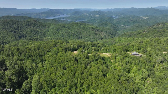 1405 Tamarack Ct, Butler, TN 37640 - photo 1