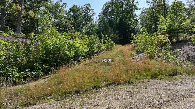 1405 Tamarack Ct, Butler, TN 37640 - photo 2