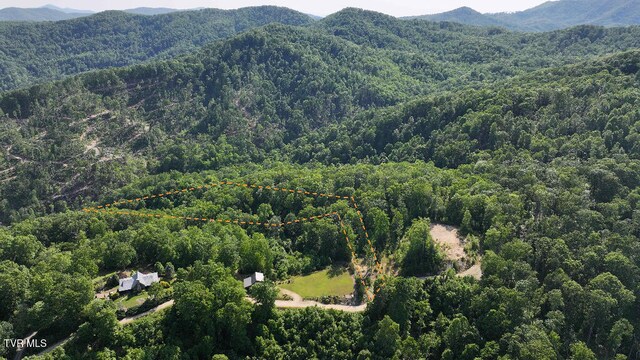 1405 Tamarack Ct, Butler, TN 37640 - photo 5