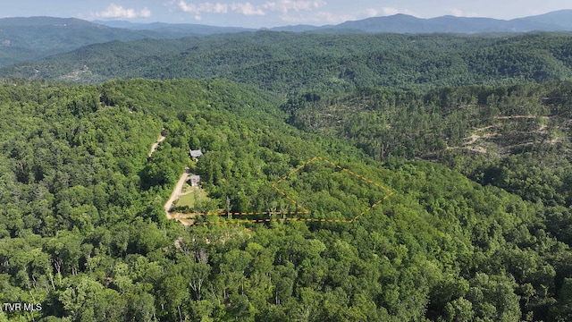 1405 Tamarack Ct, Butler, TN 37640 - photo 6