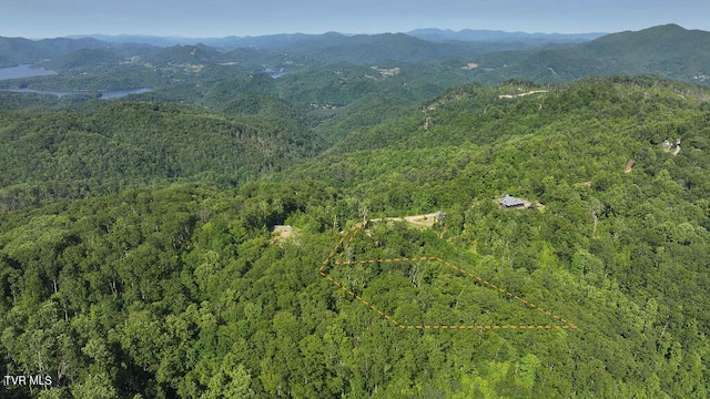 1405 Tamarack Ct, Butler, TN 37640 - photo 8