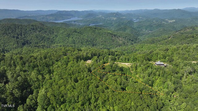 1405 Tamarack Ct, Butler, TN 37640 - photo 9