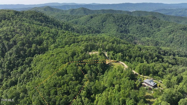 1405 Tamarack Ct, Butler, TN 37640 - photo 10