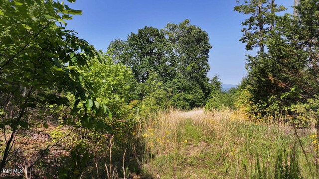 1405 Tamarack Ct, Butler, TN 37640 - photo 20