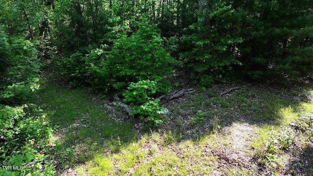 1405 Tamarack Ct, Butler, TN 37640 - photo 22