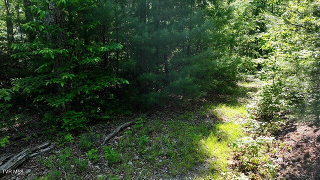 1405 Tamarack Ct, Butler, TN 37640 - photo 23