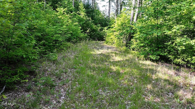 1405 Tamarack Ct, Butler, TN 37640 - photo 24