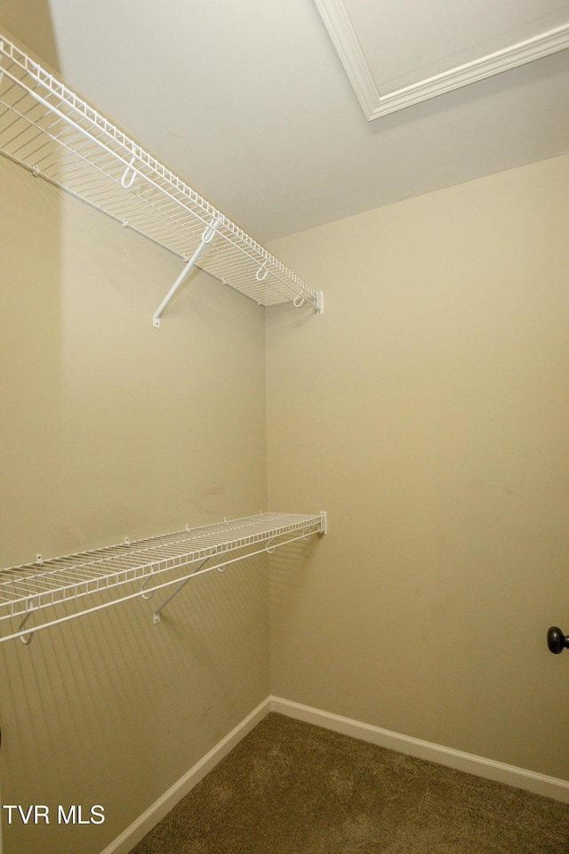 1900 Knob Creek Rd Unit 404, Johnson City, TN 37604 - walk in closet with carpet flooring