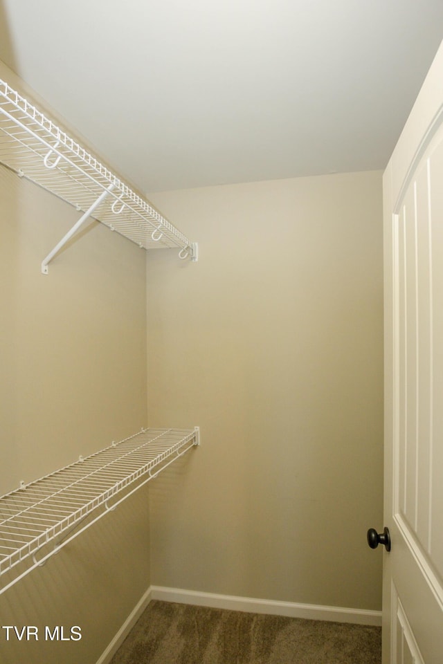 1900 Knob Creek Rd Unit 404, Johnson City, TN 37604 - spacious closet with dark colored carpet