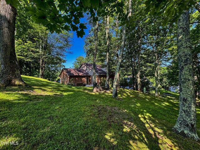 48 Wood Land Cir, Lebanon, VA 24266 - photo 39