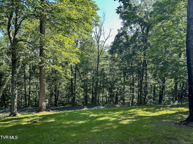 48 Wood Land Cir, Lebanon, VA 24266 - photo 41