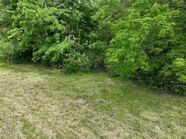 1776 Ripshin Mountain Rd, Roan Mountain, TN 37687
