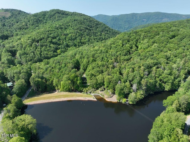 1776 Ripshin Mountain Rd, Roan Mountain, TN 37687