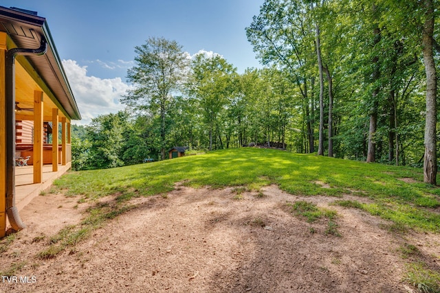 165 Hawks Nest Ln, Elizabethton, TN 37643 - photo 41
