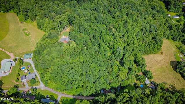 165 Hawks Nest Ln, Elizabethton, TN 37643 - photo 47