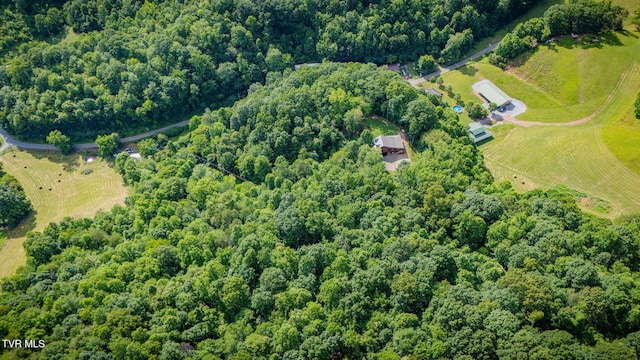 165 Hawks Nest Ln, Elizabethton, TN 37643 - photo 49