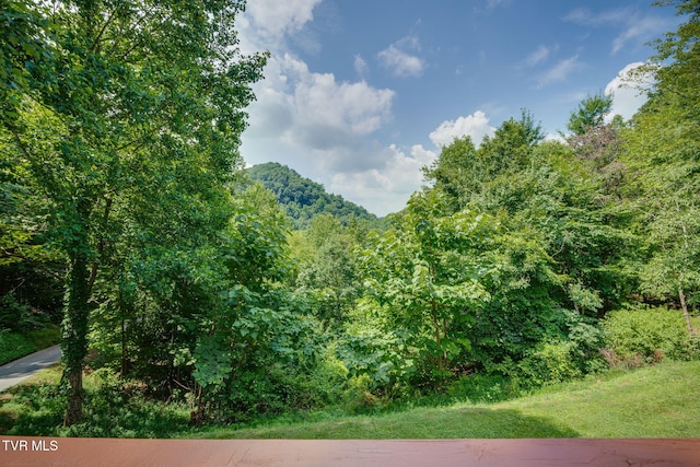 165 Hawks Nest Ln, Elizabethton, TN 37643 - photo 11