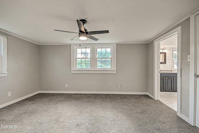 810 N Roan St, Elizabethton, TN 37643 - unfurnished room featuring a ceiling fan, carpet, and ornamental molding