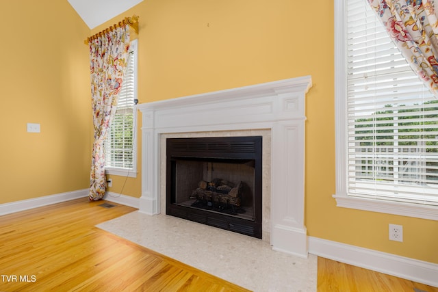 2003 Hackberry Dr, Jonesborough, TN 37659 - detailed view of wood finished floors and a fireplace with flush hearth
