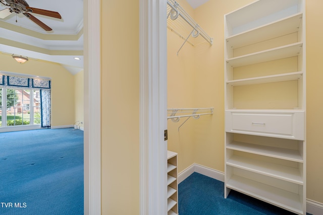 2003 Hackberry Dr, Jonesborough, TN 37659 - spacious closet with carpet floors and a ceiling fan