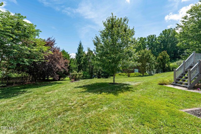2003 Hackberry Dr, Jonesborough, TN 37659 - view of yard featuring stairway