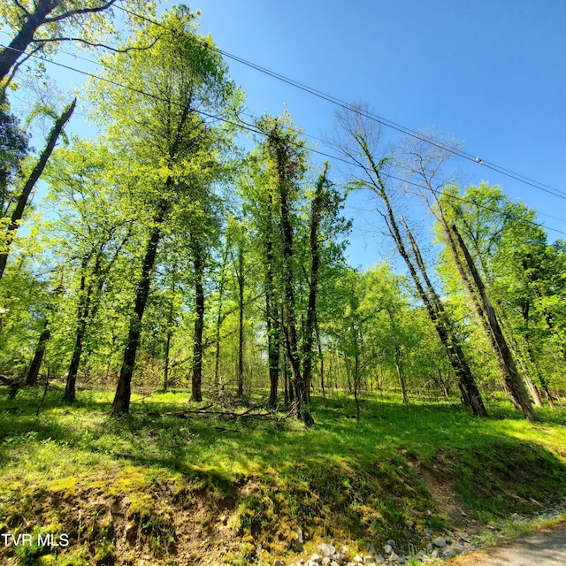 1603 Sequoyah Dr, Mooresburg, TN 37811 - photo 1