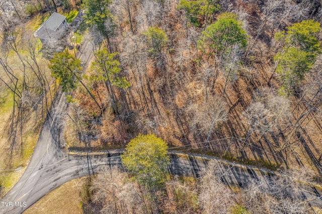 1603 Sequoyah Dr, Mooresburg, TN 37811 - photo 2