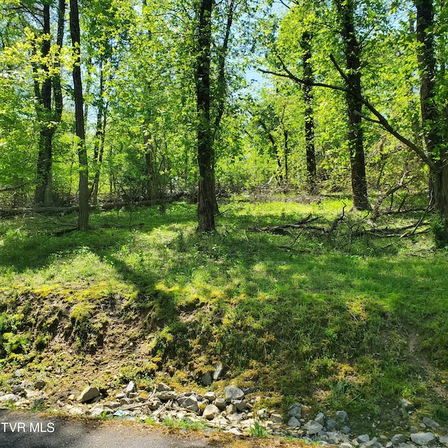 1603 Sequoyah Dr, Mooresburg, TN 37811 - photo 3