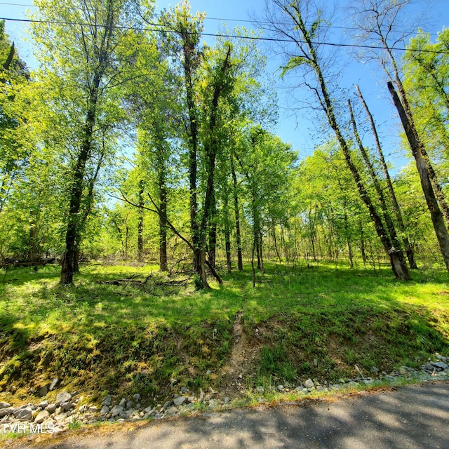 1603 Sequoyah Dr, Mooresburg, TN 37811 - photo 4