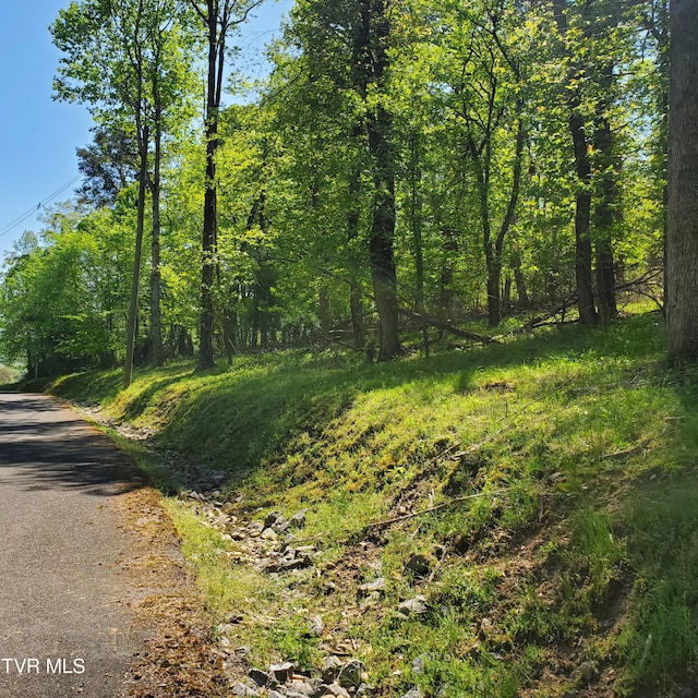 1603 Sequoyah Dr, Mooresburg, TN 37811 - photo 5