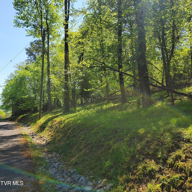 1603 Sequoyah Dr, Mooresburg, TN 37811 - photo 6