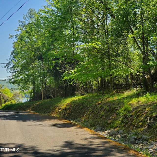 1603 Sequoyah Dr, Mooresburg, TN 37811 - photo 7