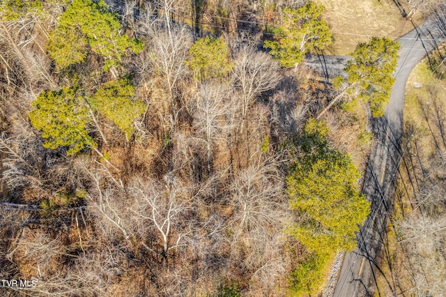 1603 Sequoyah Dr, Mooresburg, TN 37811 - photo 8