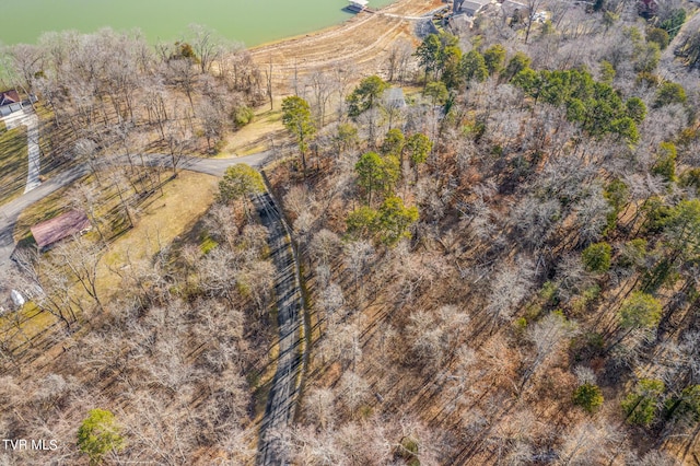 1603 Sequoyah Dr, Mooresburg, TN 37811 - photo 9