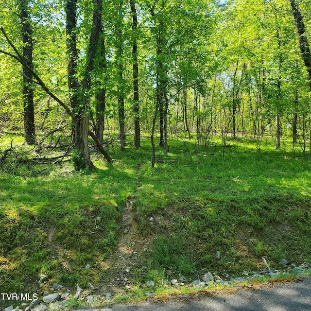 1603 Sequoyah Dr, Mooresburg, TN 37811 - photo 10