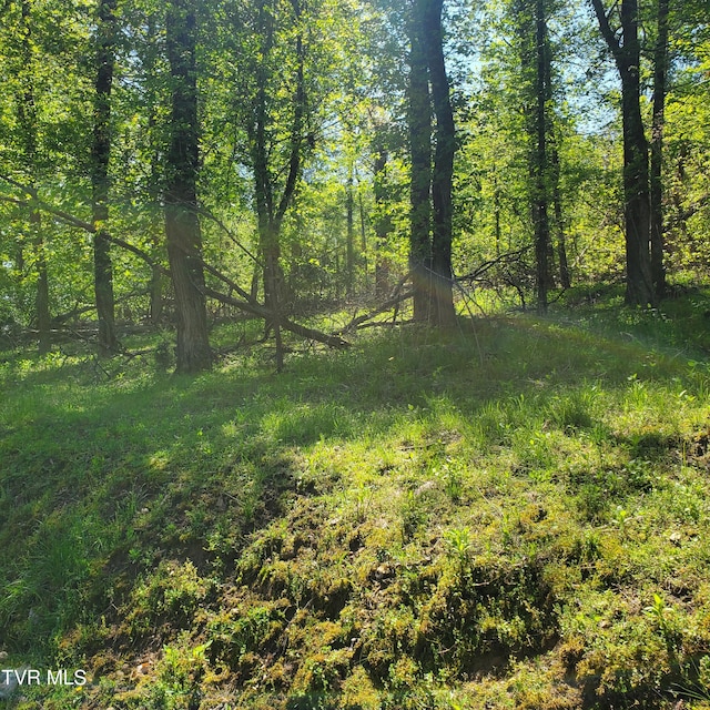 1603 Sequoyah Dr, Mooresburg, TN 37811 - photo 11