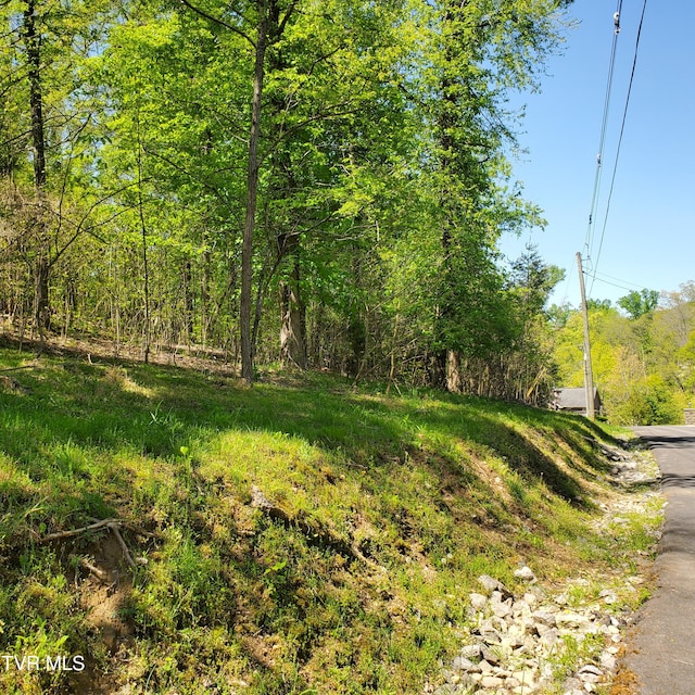 1603 Sequoyah Dr, Mooresburg, TN 37811 - photo 14