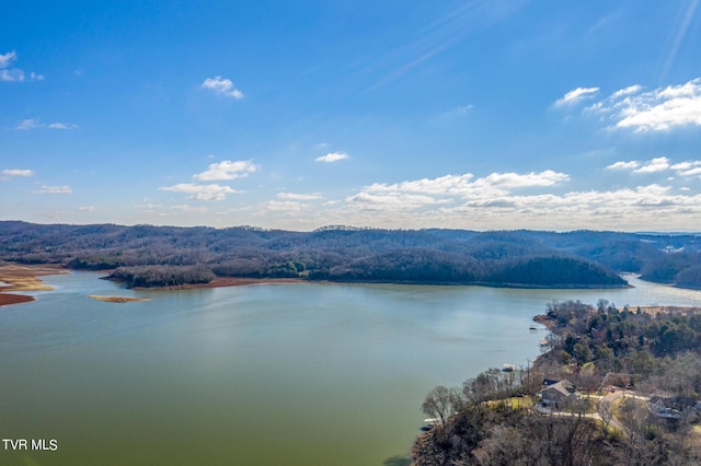 1603 Sequoyah Dr, Mooresburg, TN 37811 - photo 15