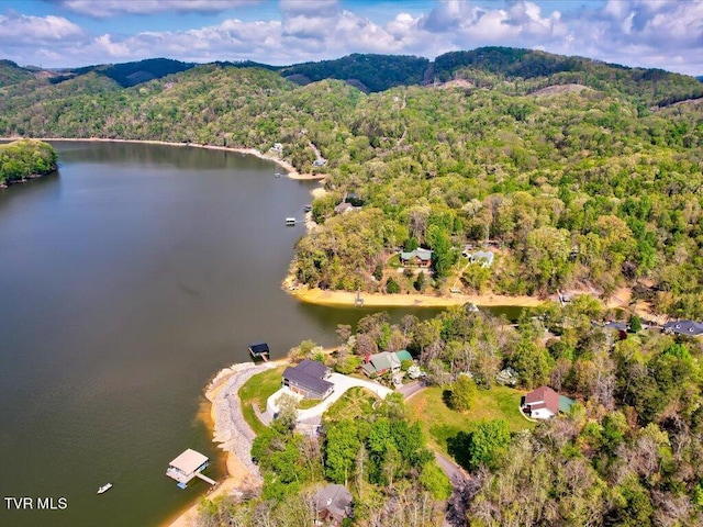 1603 Sequoyah Dr, Mooresburg, TN 37811 - photo 26