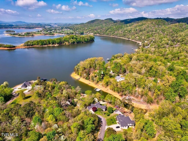 1603 Sequoyah Dr, Mooresburg, TN 37811 - photo 27
