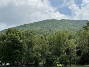 0 Dry Hollow Rd, Elizabethton, TN 37643