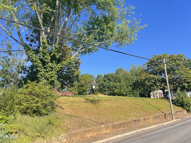 124 S Highland Ave, Greeneville, TN 37743 - photo 19