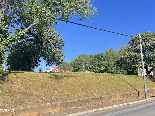 124 S Highland Ave, Greeneville, TN 37743 - photo 20