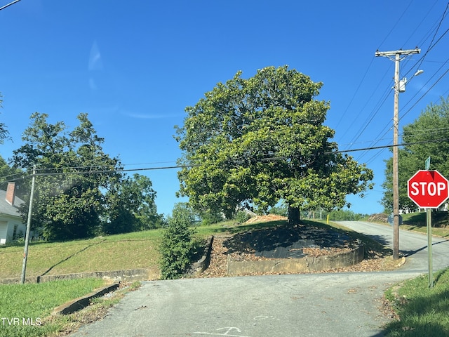124 S Highland Ave, Greeneville, TN 37743 - photo 21