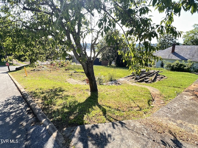 124 S Highland Ave, Greeneville, TN 37743 - photo 24