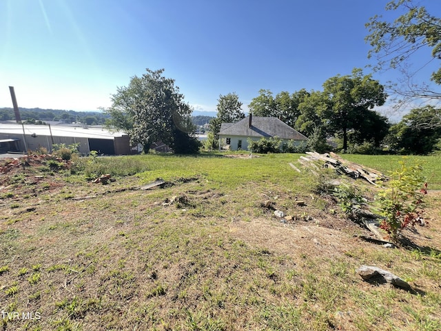 124 S Highland Ave, Greeneville, TN 37743 - photo 26