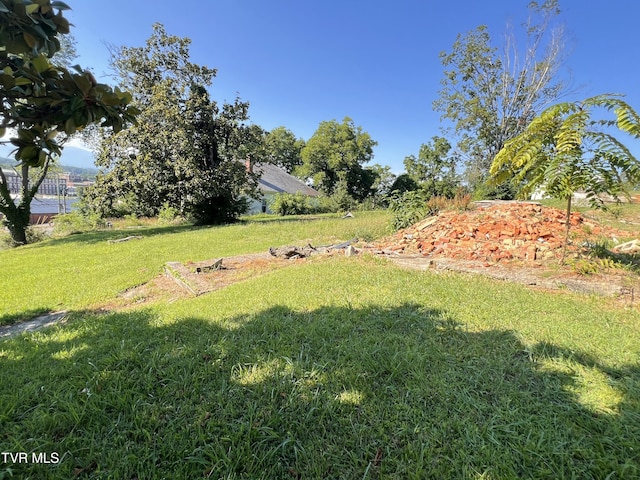 124 S Highland Ave, Greeneville, TN 37743 - photo 27