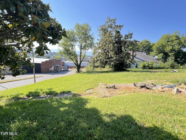 124 S Highland Ave, Greeneville, TN 37743 - photo 28