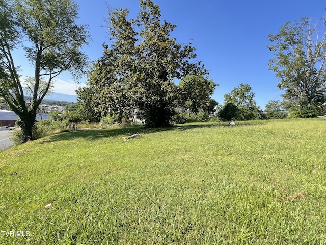 124 S Highland Ave, Greeneville, TN 37743 - photo 29
