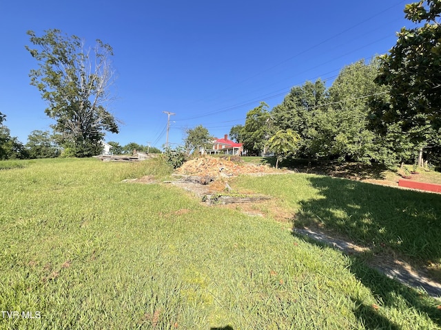 124 S Highland Ave, Greeneville, TN 37743 - photo 30